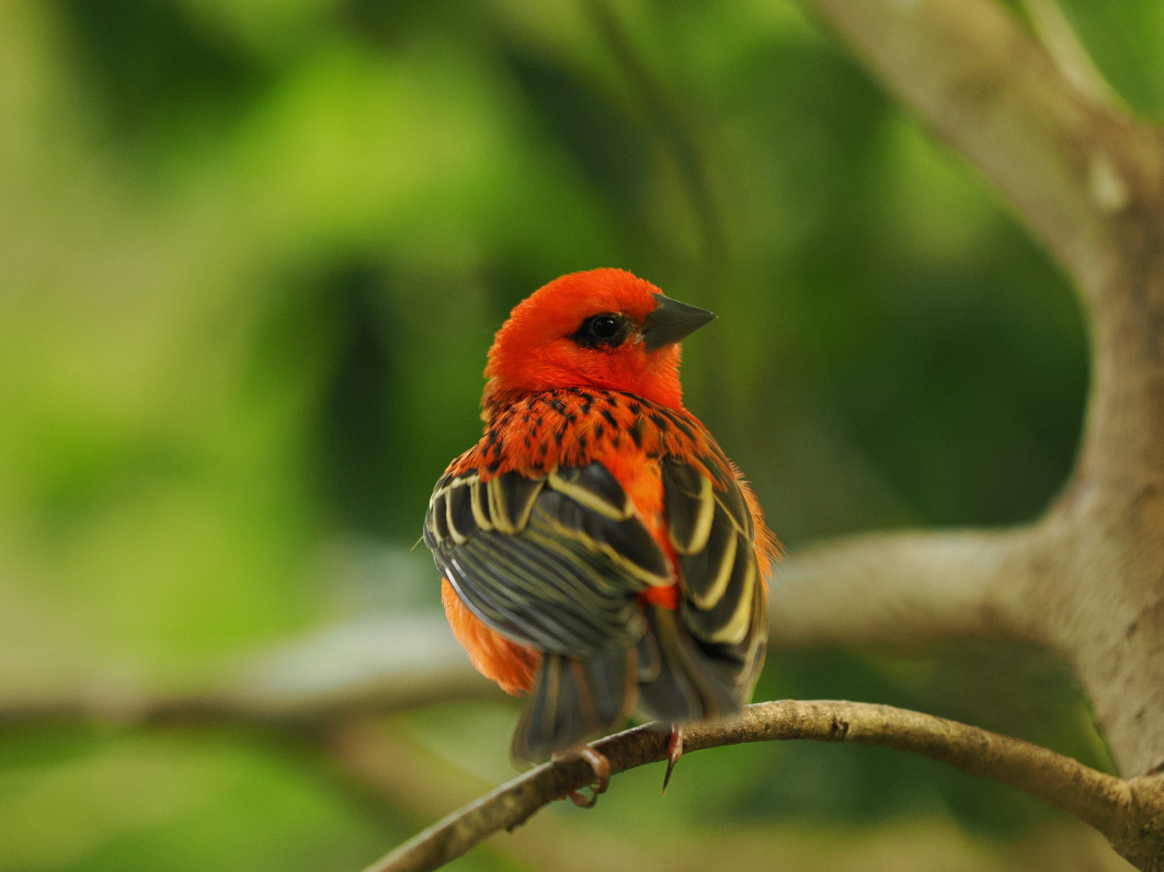 1/200 s, f/2.8, ISO 1600, 179.0 mm