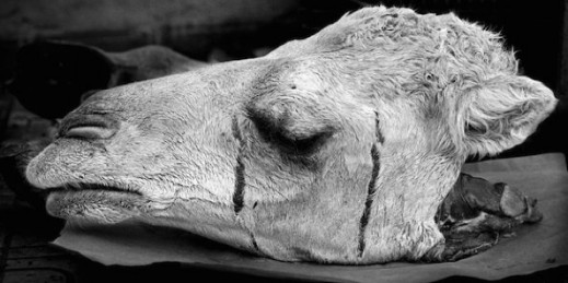 Magda Hueckel “Anima. Sacrum”