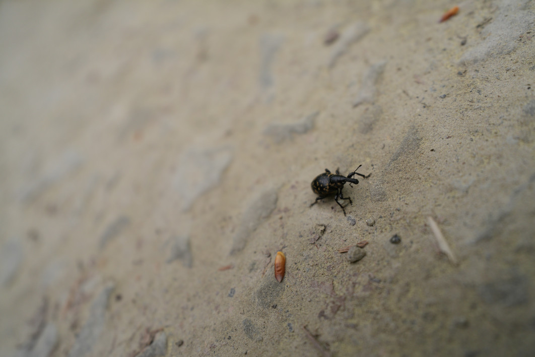 1/1000 s, f/2.8, ISO 200, 25.0 mm