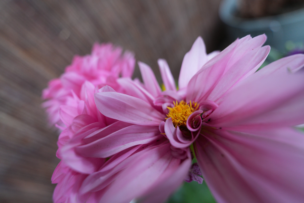 1/100 s, f/2.8, ISO 400, 16.0 mm