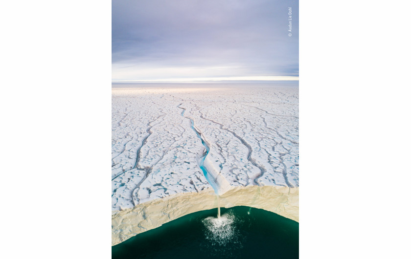 fot. Audun Lie Dahl Ice and Water | Lodowiec Bråsvellbreen przesuwa się na południe od jednej z czap lodowych pokrywających archipelag Svalbard w Norwegii. Tam, gdzie spotyka się z morzem, ściana lodowca jest tak wysoka, że widoczne są tylko wodospady, więc użyto drona, aby uchwycić tę wyjątkową perspektywę.