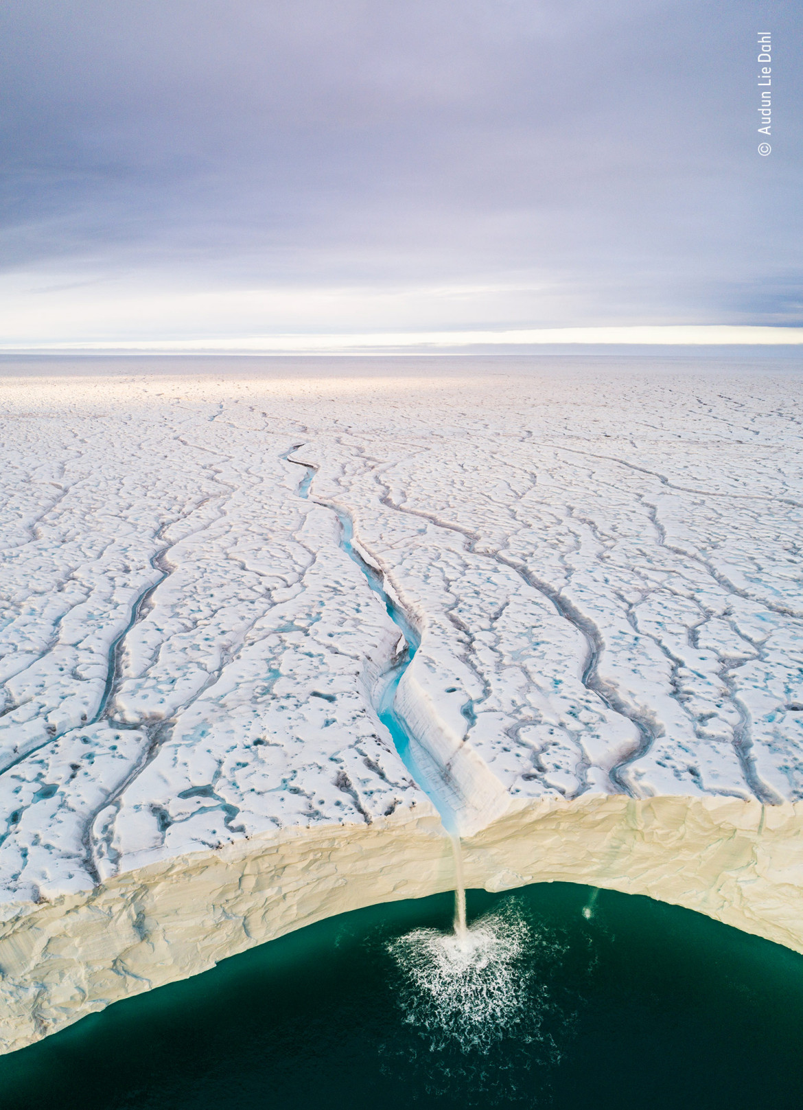 fot. Audun Lie Dahl "Ice and Water" | Lodowiec Bråsvellbreen przesuwa się na południe od jednej z czap lodowych pokrywających archipelag Svalbard w Norwegii. Tam, gdzie spotyka się z morzem, ściana lodowca jest tak wysoka, że widoczne są tylko wodospady, więc użyto drona, aby uchwycić tę wyjątkową perspektywę.