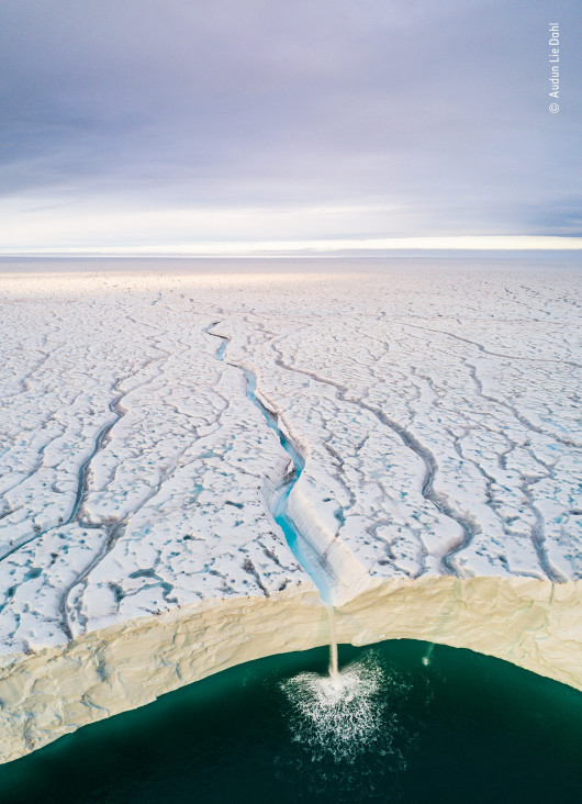 fot. Audun Lie Dahl Ice and Water | Lodowiec Bråsvellbreen przesuwa się na południe od jednej z czap lodowych pokrywających archipelag Svalbard w Norwegii. Tam, gdzie spotyka się z morzem, ściana lodowca jest tak wysoka, że widoczne są tylko wodospady, więc użyto drona, aby uchwycić tę wyjątkową perspektywę.
