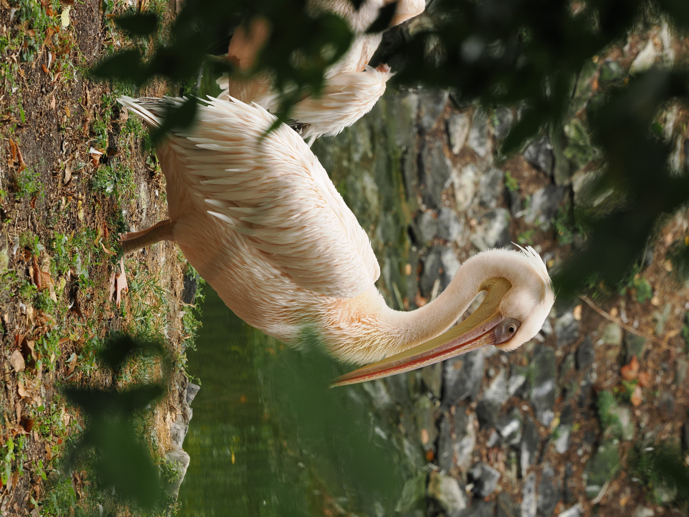 1/250 s, f/5.6, ISO 400, 164.0 mm
