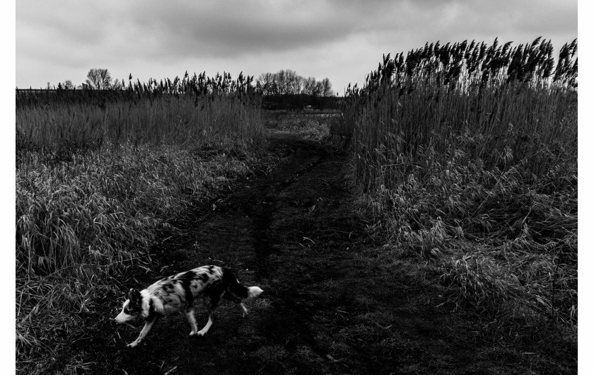 fot. Grzegorz Bukalski, I miejsce w kategorii reportażowej sekcji Young Poland. Krakowska Studencka Agencja Fotograficzna AGH. Żyjemy tu i teraz, a świat stoi przed nami otworem. Nigdy przemieszczanie się nie było tak proste jak dzisiaj. Wraz z moją partnerką i naszym psem podróżujemy z małym budżetem po Europie, używając naszego środka transportu również jako miejsca do spania. Z każdym wyjazdem wiązały się miejsca-cele, ale szybko się zorientowaliśmy, że droga jest celem samym w sobie. Norwegia, Włochy, Polska. Marzec–sierpień 2018