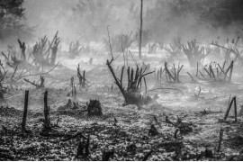 fot. Abriansyah Liberto, "Haze", nagroda WPP w okręgu południowo-wschodniej Azji i Oceanii<br></br><br></br>W ostatnich latach Indonezja była świadkiem dużych pożarów. Powstały przy ich okazji dym (mgła), ma negatywny wpływ na zdrowie ludzi - zawiera drobne cząstki, które mogą wnikać głęboko w płuca.<br></br><br></br>Susze ułatwiają wzniecanie kontrolowanych pożarów w celu oczyszczenia gruntów pod rolnictwo, ale także sprzyjają przypadkowemu zaprószeniu ognia.  Indonezja jest największym na świecie producentem oleju palmowego, a oczyszczanie gruntów na skalę przemysłową ogromnie zwiększyło ryzyko pożarów. Od początku zbierania danych w 1990 r. kraj stracił około jednej czwartej powierzchni leśnej.
