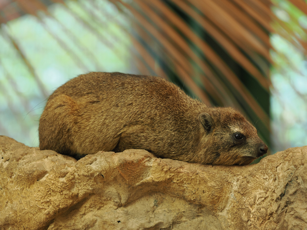 1/25 s, f/2.8, ISO 400, 144.0 mm
