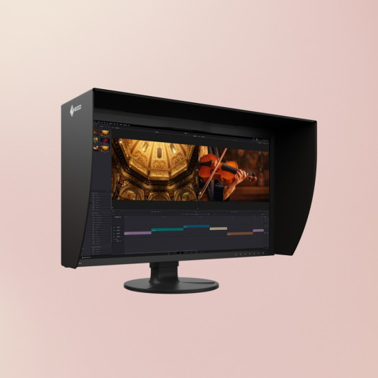 EIZO ColorEdge CG3100X