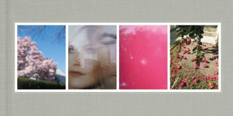Sandi Haber Fifield “After the Threshold” - recenzja