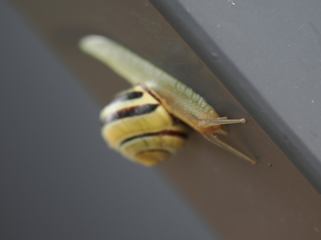 1/160 s, f/2.8, ISO 200, 200.0 mm