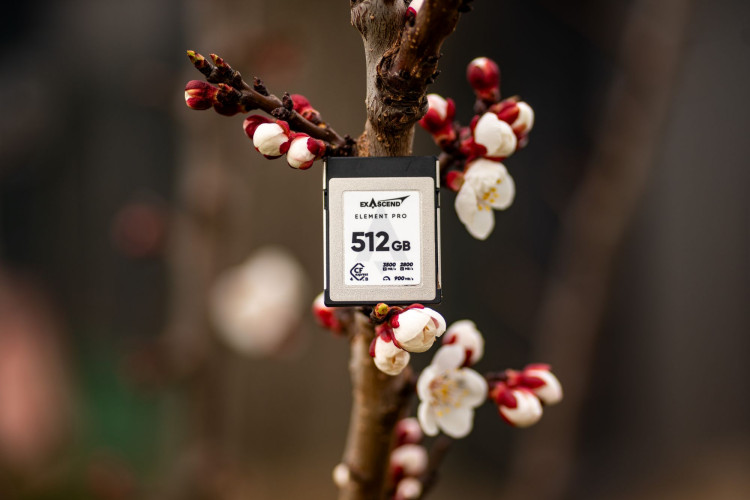 Najmniejszy element, największe ryzyko. Jan Ulicki o kartach pamięci Exascend