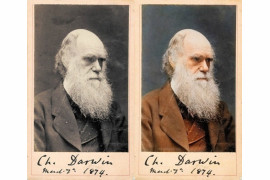 Charles Darwin, 1874. Źródło: http://www.webburgr.com