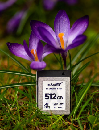 Najmniejszy element, największe ryzyko. Jan Ulicki o kartach pamięci Exascend