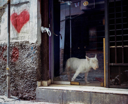 fot. Sam Gregg, 