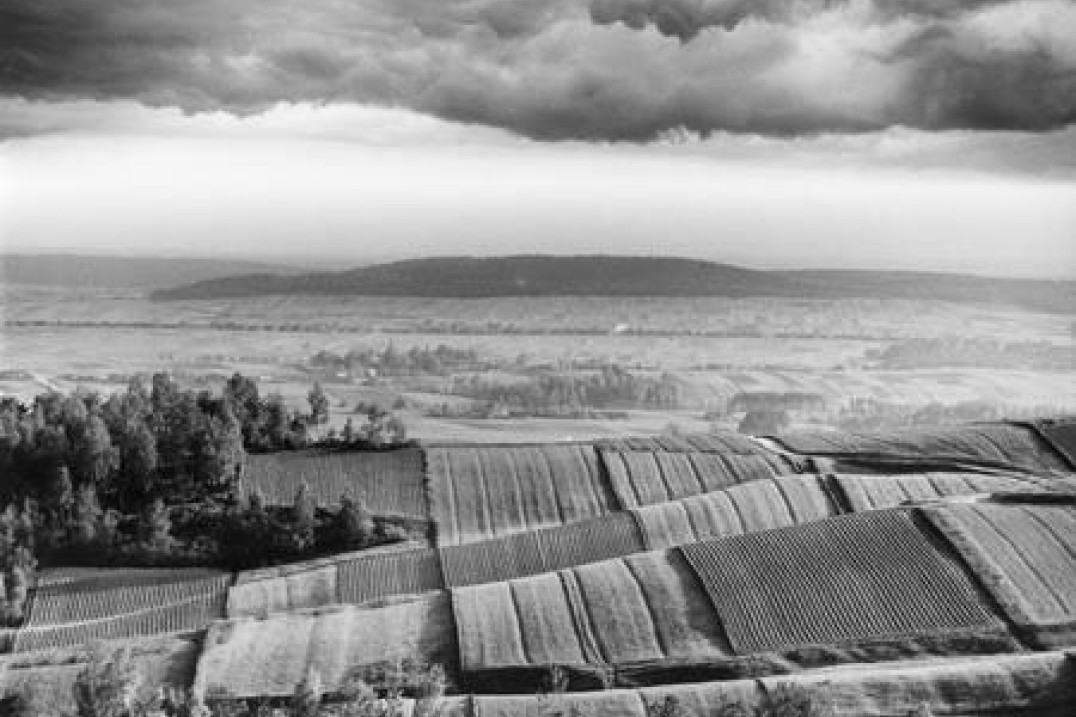 Spotkanie z Pawłem Pierścińskim w Krakowie