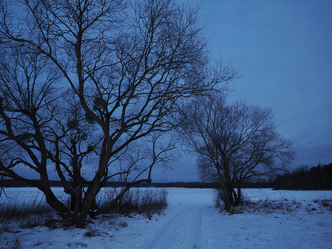 1/40 s, f/5, ISO 200, 8 mm