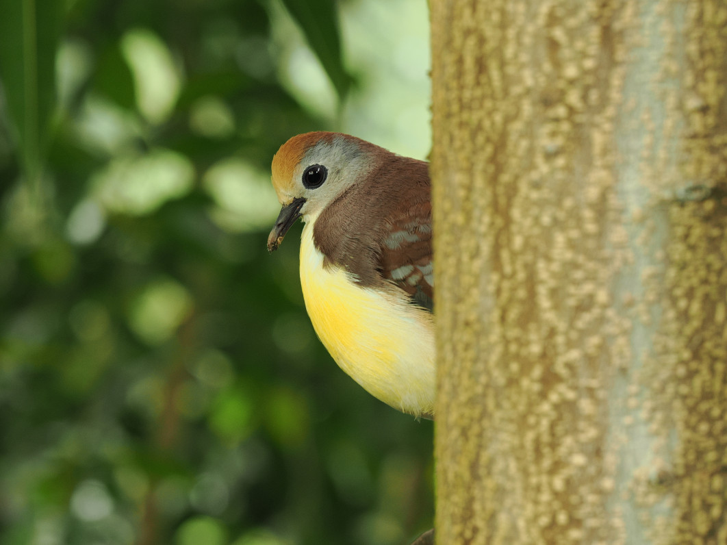 1/13 s, f/8, ISO 800, 200.0 mm
