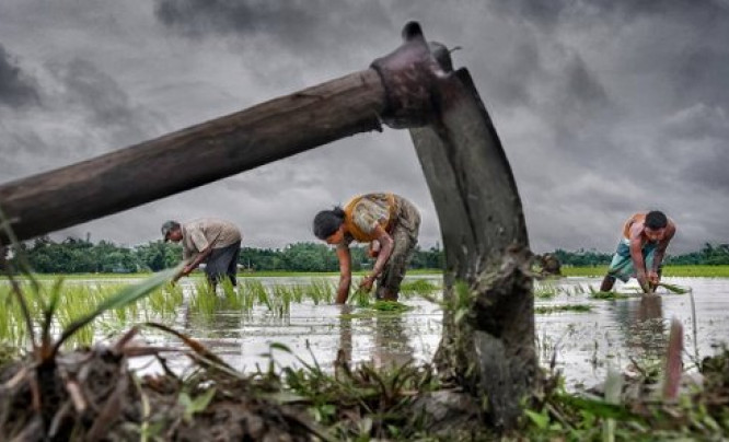  CGAP Photo Contest 2015 - poznaliśmy zwycięzców