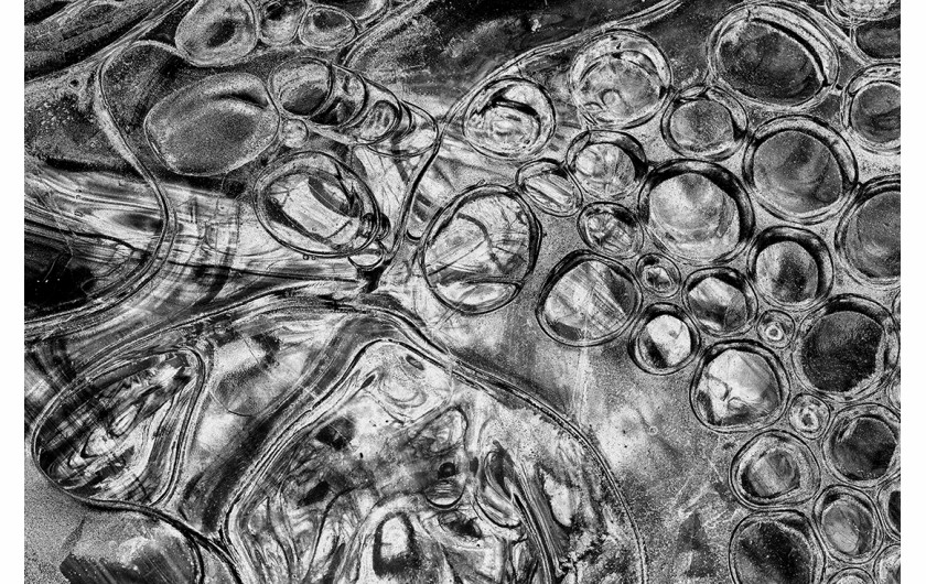 fot. Bill Dixon, z cyklu Abstracts In Ice, 1. miejsce w kategorii Abstract / Series