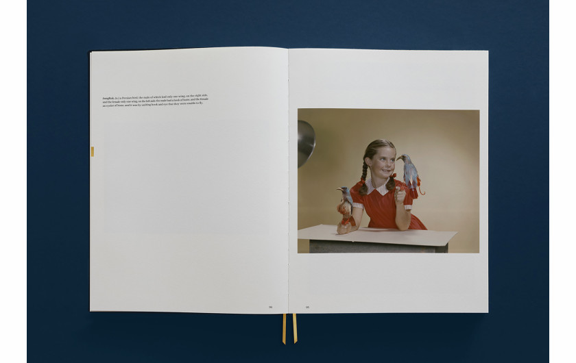 Weronika Gęsicka, Encyclopaedia