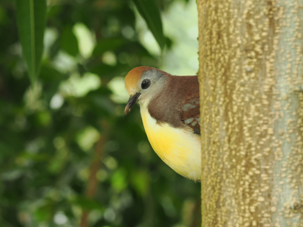1/5 s, f/11, ISO 800, 200.0 mm