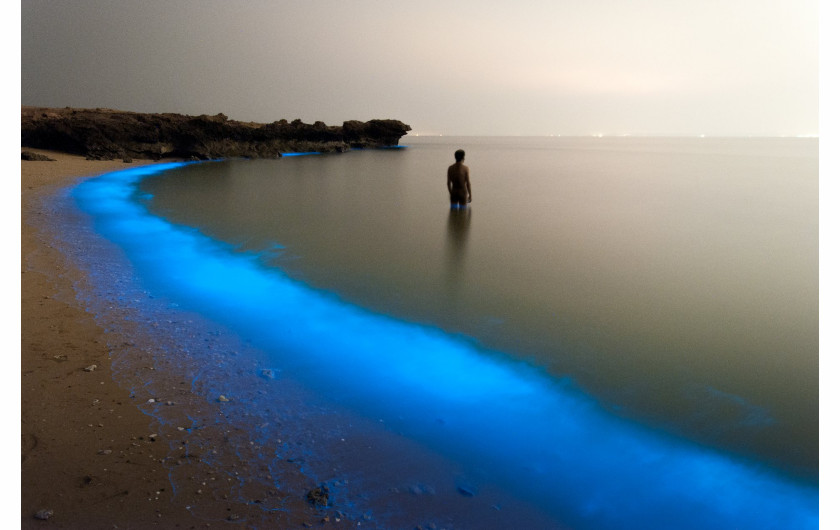 fot. Pooyan Shadpoor (finalista), Fluorescencyjny plakton u wybrzeży Irańskiej wyspy Larak.