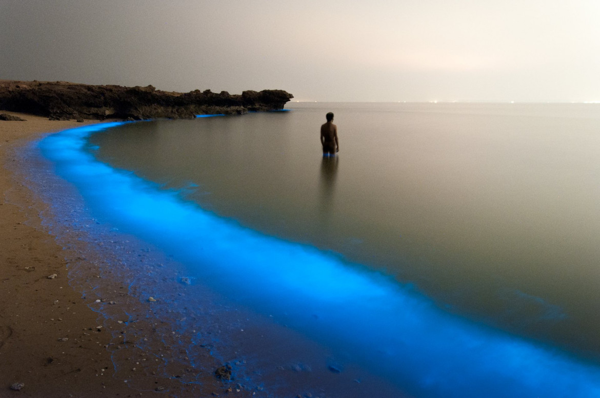 fot. Pooyan Shadpoor (finalista), Fluorescencyjny plakton u wybrzeży Irańskiej wyspy Larak.