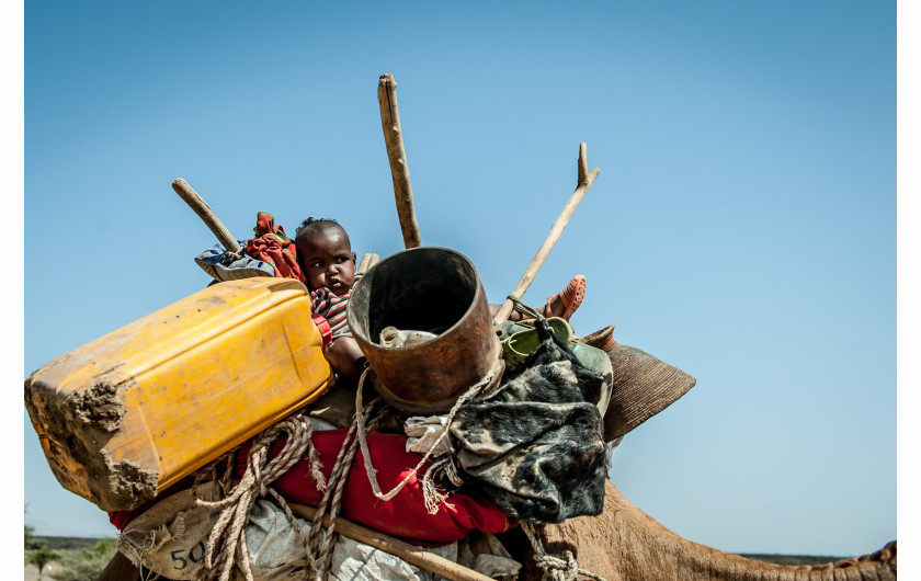 fot. Jonathan Fontaine (finalista), Przeprowadzka etiopskiej rodziny w poszukiwaniu wody. Etiopa przeżywa największą od 50 lat suszę. Stracono niemal 75% procent upraw, a 15 mln obywateli potrzebuje pomocy humanitarnej.