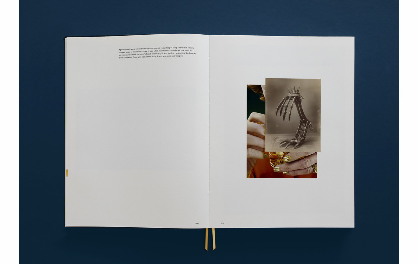 Weronika Gęsicka, Encyclopaedia