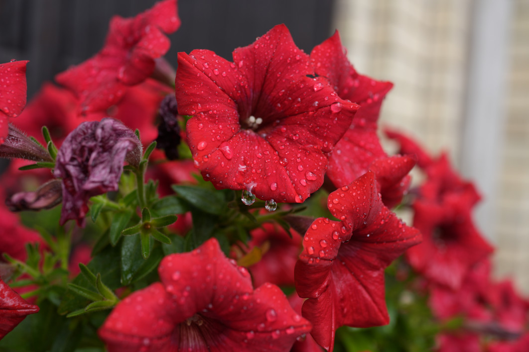 1/125 s, f/5,6, ISO 160, 35 mm 
