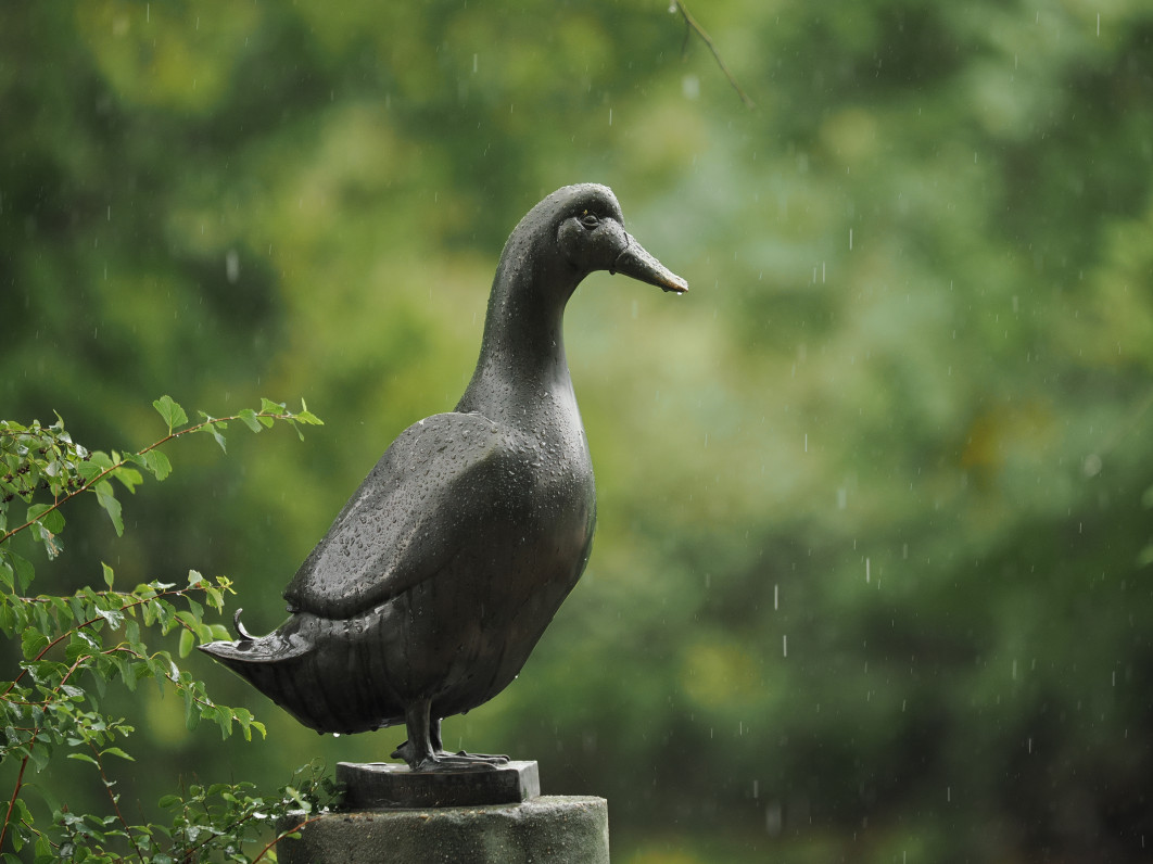 1/400 s, f/2.8, ISO 400, 200.0 mm
