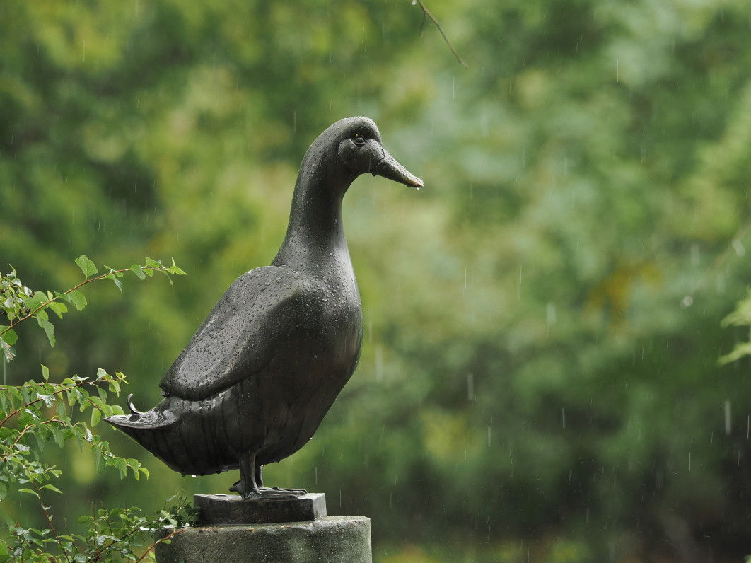 1/200 s, f/4, ISO 400, 200.0 mm
