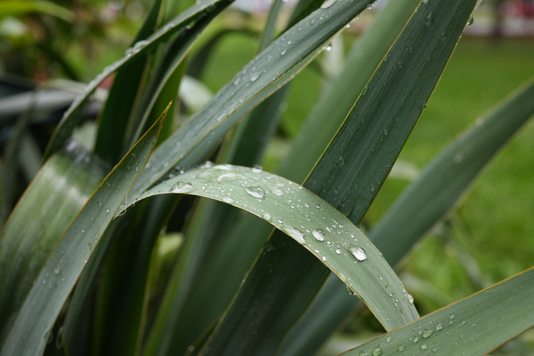 1/125 s, f/6,3, ISO 250, 35 mm 