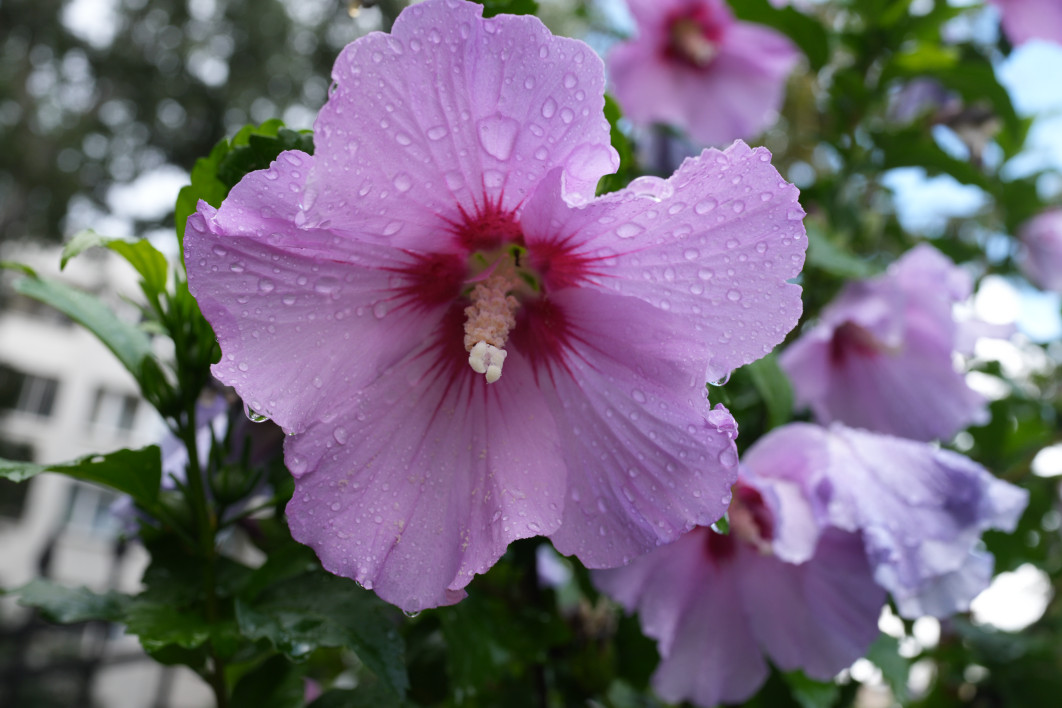 1/125 s, f/8, ISO 320, 35 mm 