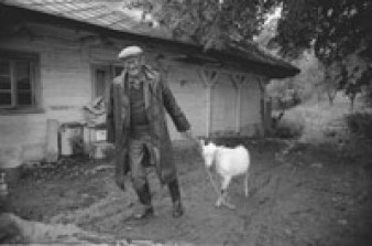 Czeska fotografia w galerii OKNO