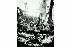 fot. Edmund Zdanowski, 114