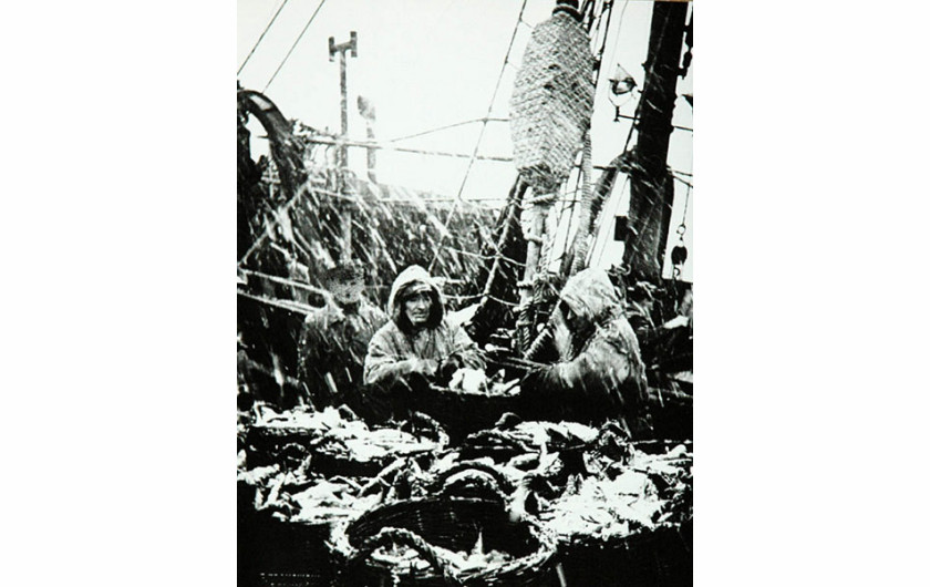 fot. Edmund Zdanowski, 114