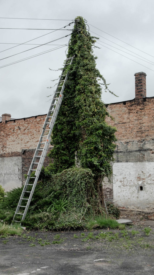 Prowincja jest wielowymiarowa: zabawna, piękna, a czasem zwyczajnie paskudna - Marcin Urbanowicz