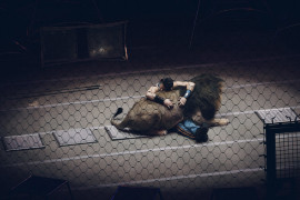 Andres Kudacki (Time Magazine), III miejsce w kategorii "Feature" | "Pogromca" ściska lwa podczas prezentacji cyrku Ringling Bros w Baltimore, Maryland.