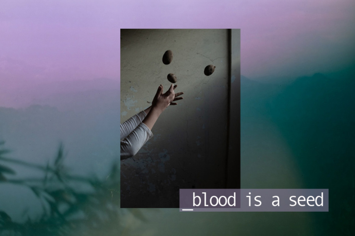 fot. Isadora Romero, z cyklu "Blood is a Seed"
<br><br>
"Blood is a Seed" (Krew jest nasieniem) porusza kwestię znikania nasion, przymusowej migracji, kolonizacji i związanej z tym utraty wiedzy przodków. Film składa się z fotografii cyfrowych i analogowych, z których część została wykonana na formacie 35 mm, a następnie narysowana przez ojca Romero. Podczas podróży do wioski swoich przodków w Une, Cundinamarca w Kolumbii, Romero odkrywa zapomniane wspomnienia o ziemi i uprawach oraz dowiaduje się o swoim dziadku i prababce, którzy byli "strażnikami nasion" i uprawiali kilka odmian ziemniaków, z których tylko dwie w większości nadal istnieją.