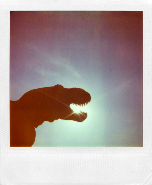 Polaroidy Darka Ozdoby w Poznaniu