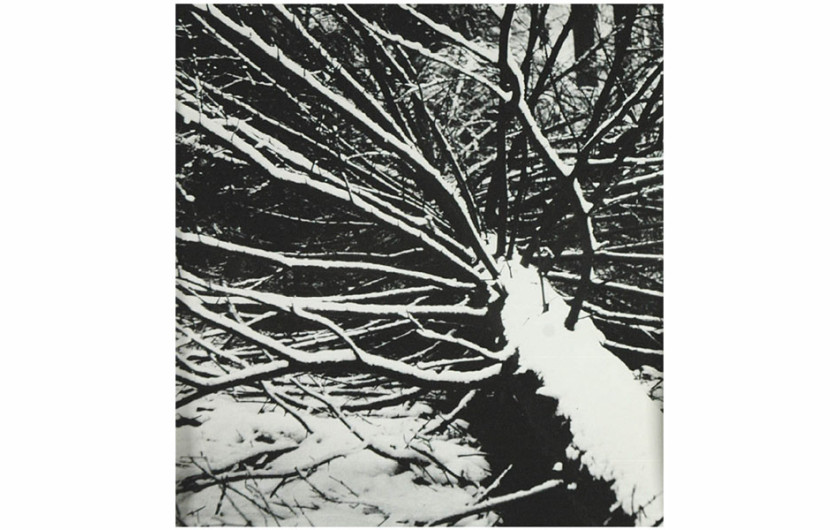 fot. Edward Hartwig, 147