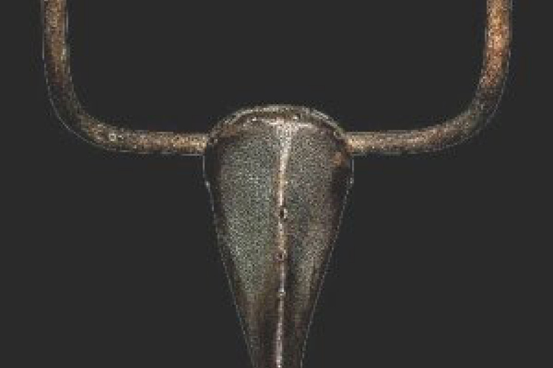 Fotograf niedzielny - Widzą piksele, nie zdjęcia