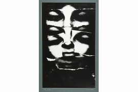 fot. Jerzy Wardak, 217