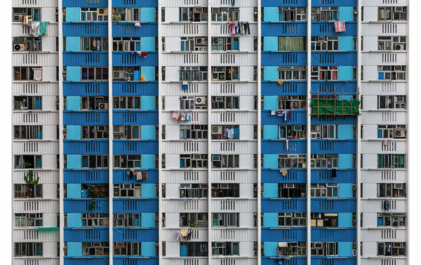 fot. Peter Stewart, Blue Concrete