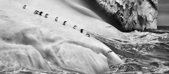 Polska premiera „Genesis” Sebastião Salgado