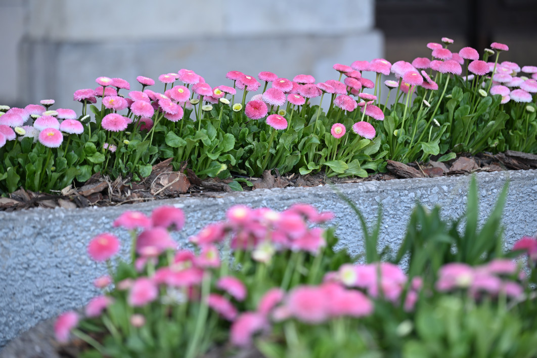 1/160 s, f/4.5, ISO 180, 120.0 mm