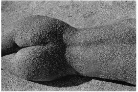 fot. Plewiński, 208