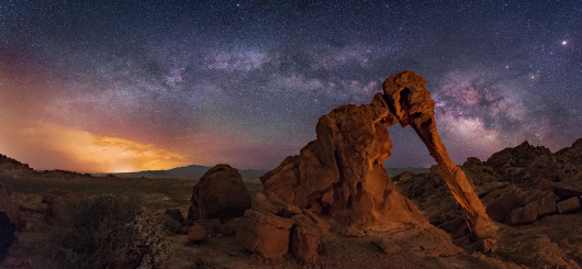 fot. Wayne Pinkston“The Elephant Walks At Night” 