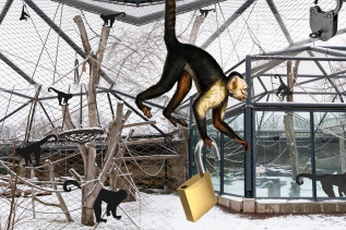 Vive la Résistance! W oku patrzącego - Marta Bogdańska w IFF